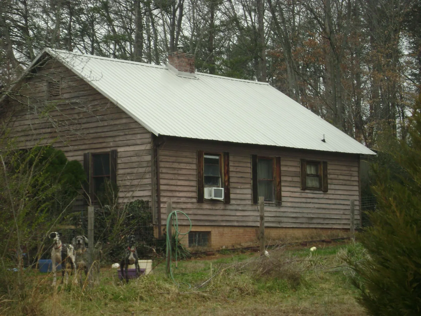 White metal roof on an old wood sided farmhouse, from a Asphalt Shingle Roof Repair job in Carver